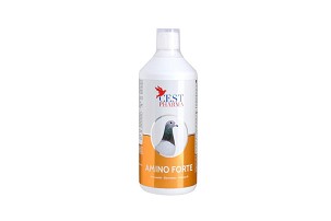 Cest Pharma Amino Forte 1000 ml