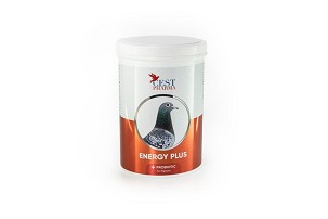 Cest Pharma Energy Plus 600 g